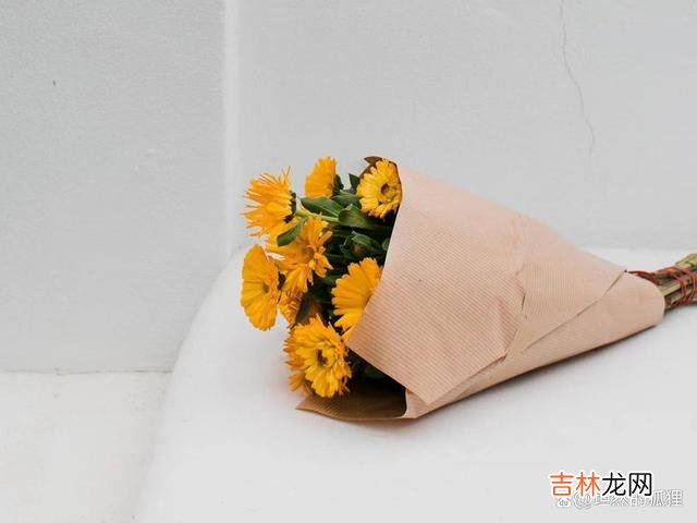 《三十而已》看到最后 女人的婚姻，越往后走，你越会感受到，和谁在一起都一样