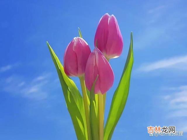 01开篇语时光匆匆 退休后，养好自己的这三个贵相，必定福泽深厚，福气不请自来