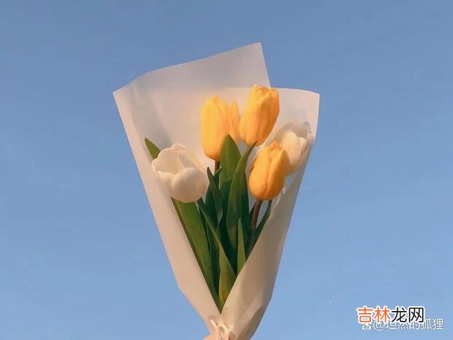 01开篇语时光匆匆 退休后，养好自己的这三个贵相，必定福泽深厚，福气不请自来