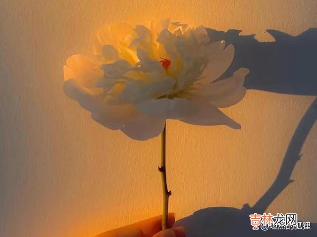 提到男女关系。|这种三角关系里：被抛弃的那个人，才是最幸运的人