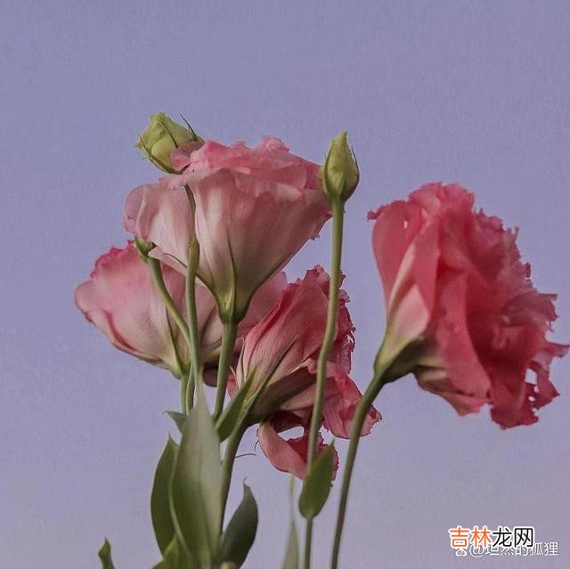 01开篇语《千与千寻》里说道：人生是开往坟墓的列车 无缘，即便你再强求，再和他日日缠绵，最后也是一场离散