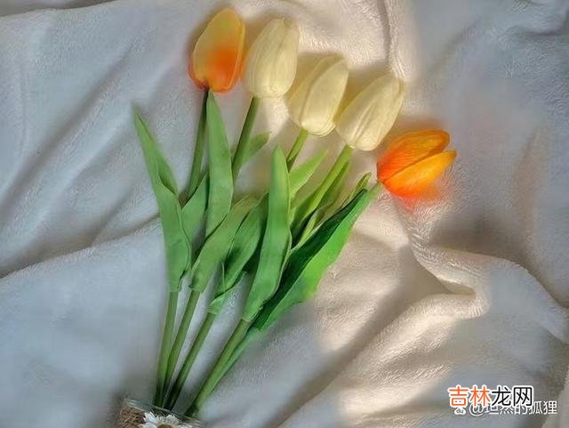 男人若真心想追你，他会有一个细节