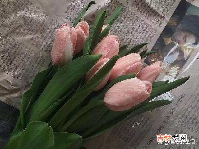 男人若真心想追你,他会有一个细节