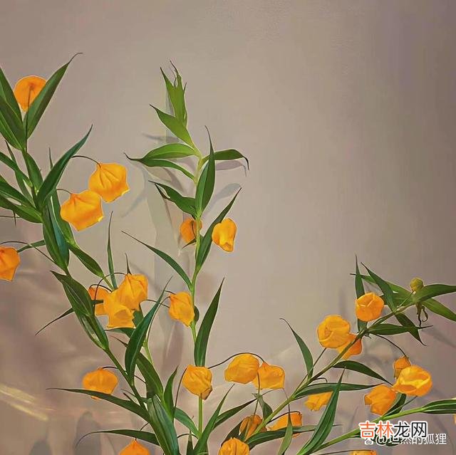 年少时 “高情商”的女人，会为男人做这四件事，让男人很着迷