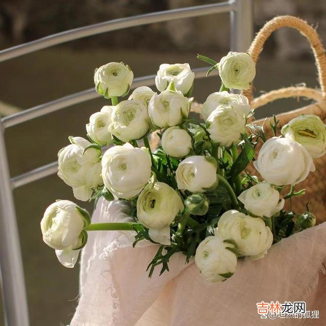 年少时 “高情商”的女人，会为男人做这四件事，让男人很着迷