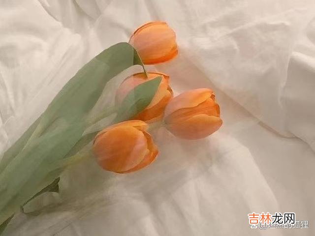 写在开始：情爱路上 没有“爱情”的婚姻，两个人很容易坚持到最后