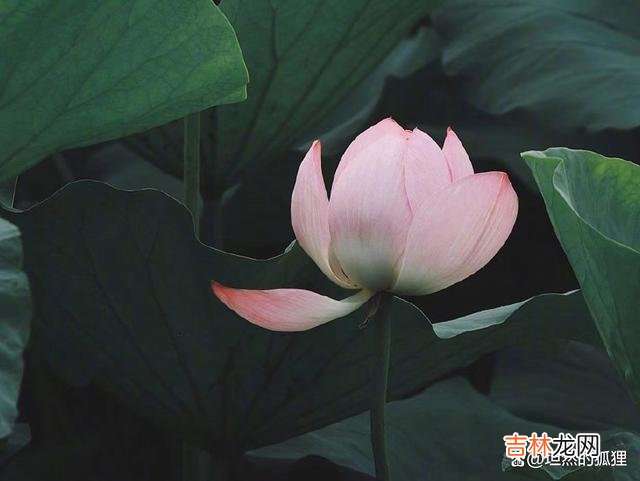 提起“风水” 你的好人品，就是你的好人生，就是你的好风水