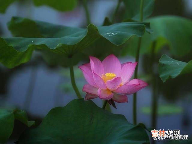 提起“风水” 你的好人品，就是你的好人生，就是你的好风水