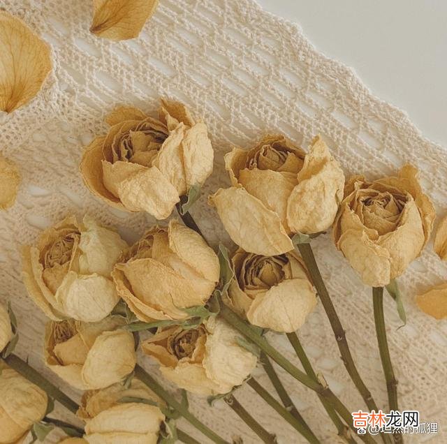 前一段时间 爱情有没有不重要，你能不能养活好自己，真的很重要