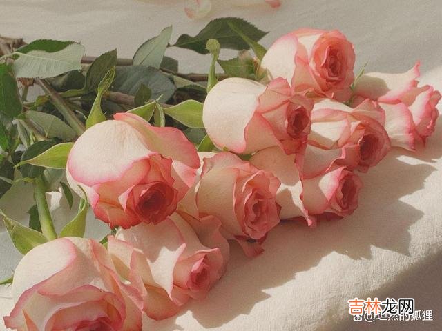 “三十六计”里 恋爱里，女人对你有好感，“真诚”和“用心”才是真正的套路