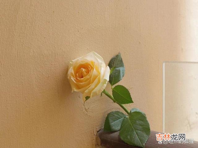 “三十六计”里 恋爱里，女人对你有好感，“真诚”和“用心”才是真正的套路