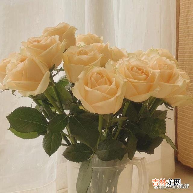 人一旦陷入爱情里 当一个男人打心底里深爱着你时,你会感受到这四句话