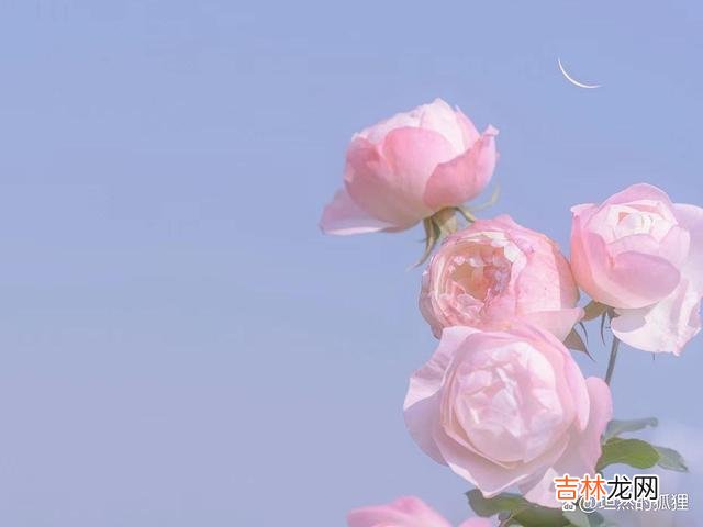 写在开始：天地苍茫 人活着，不要带着“坏嘴巴”出门，多微笑，交好运