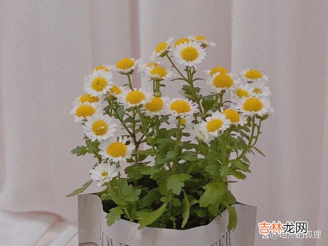 写在开始：如今的中年人 男人的“温暖”爱情，会让女人彻底动情的人，其实应该是这样