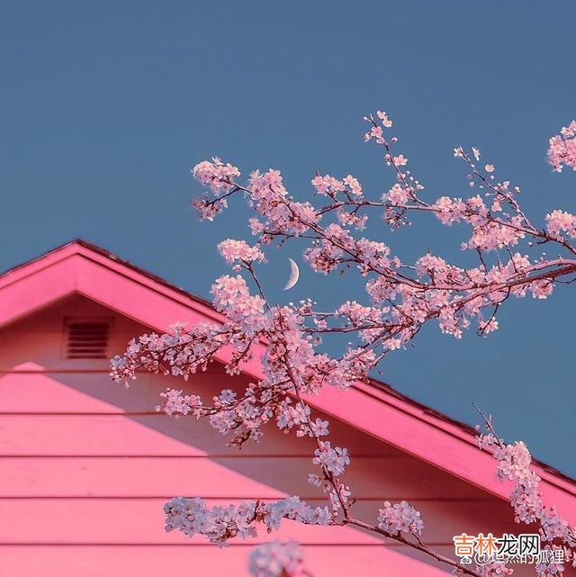 01开篇语：我们每个人 如果你遇到了不公，别伤心，要相信，这世间事，自有它的安排