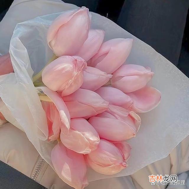 写在开始：说一说 女人的这种果断，不是她绝情，而是她活得理智