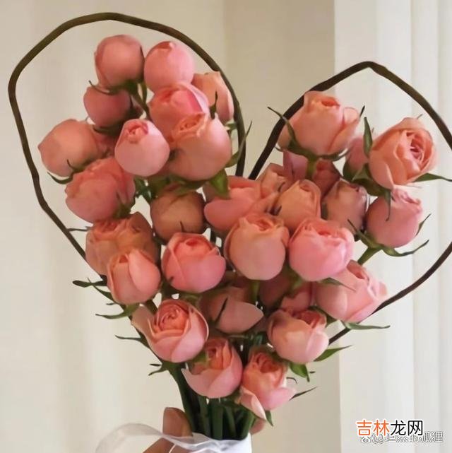 看到一句话：“爱情里 深爱着一个人，若没有回应，除了死扛，就没有出路