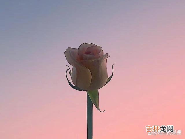 歌曲《一晃就老了》里唱道：“不知道何时鬓角已染霜 人到了一定的岁数，以下这三根救命稻草，比有钱还要重要