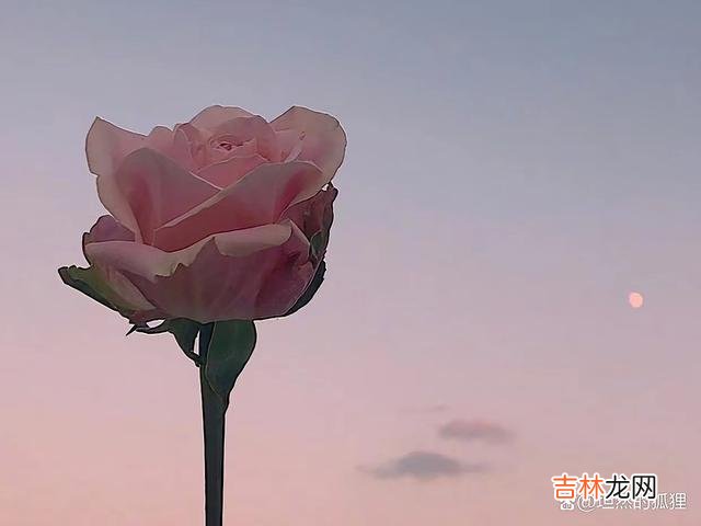 歌曲《一晃就老了》里唱道：“不知道何时鬓角已染霜 人到了一定的岁数，以下这三根救命稻草，比有钱还要重要