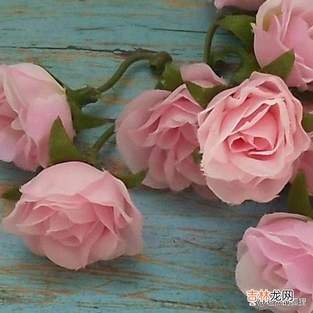 -01-<stron...|现代爱情，其实最缺乏的，是彼此的包容度，理解度，信任感