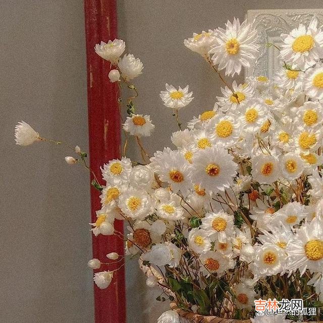 -01-有一句老话说得好 当一个男人对你如此耍心机时，一定要小心，遇到了，抓紧离远点