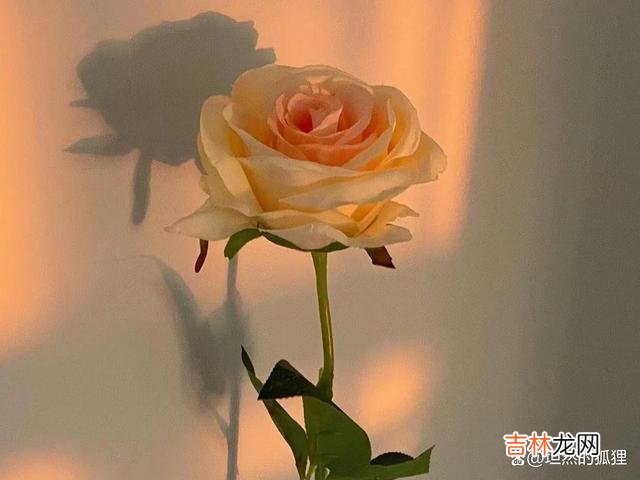 爱情 当一个男人反复如此对你“示爱”的时候，他心里一定有猫腻
