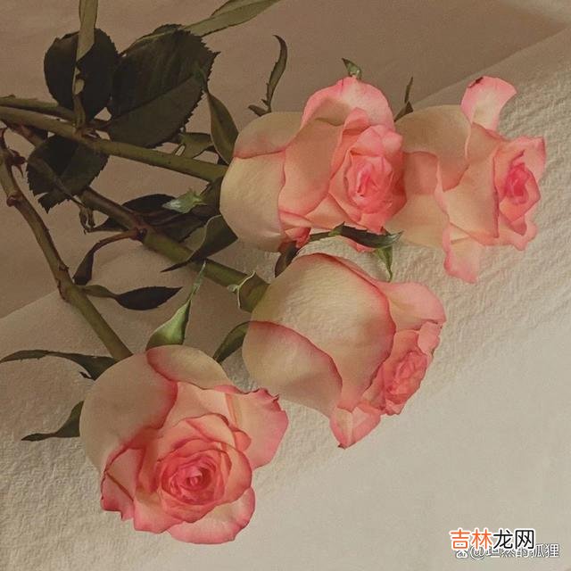 写在开始:网上曾经有...|男人讲话时,会有一个细节,暴露出你对他而言,到底重不重要