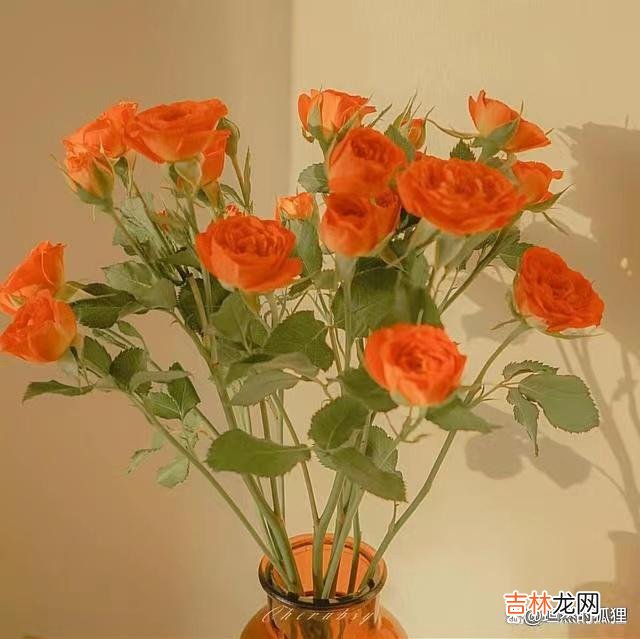 -01-生活中 这两件事，千万别“大方”，你越如此，她越不爱你