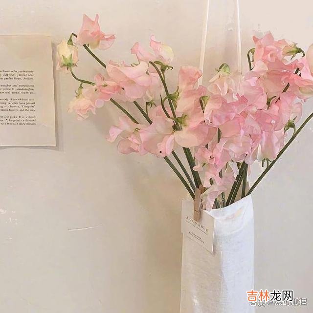 在网上看到了一个段子：一对情侣吵架 在特殊环境下，男人的爱一个女人的深浅，马上就显现了出来