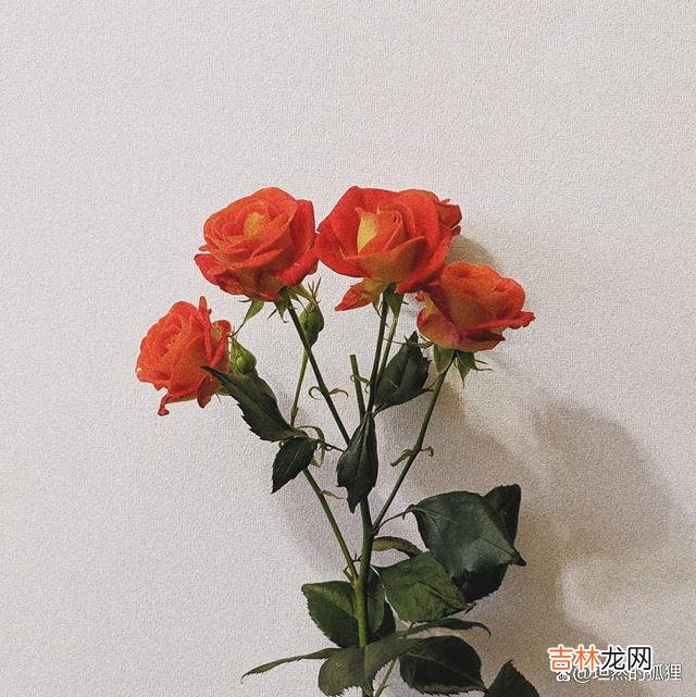 -01-总有些人 女人们，如若一个男人的眼神给了你暗示，要留意哦