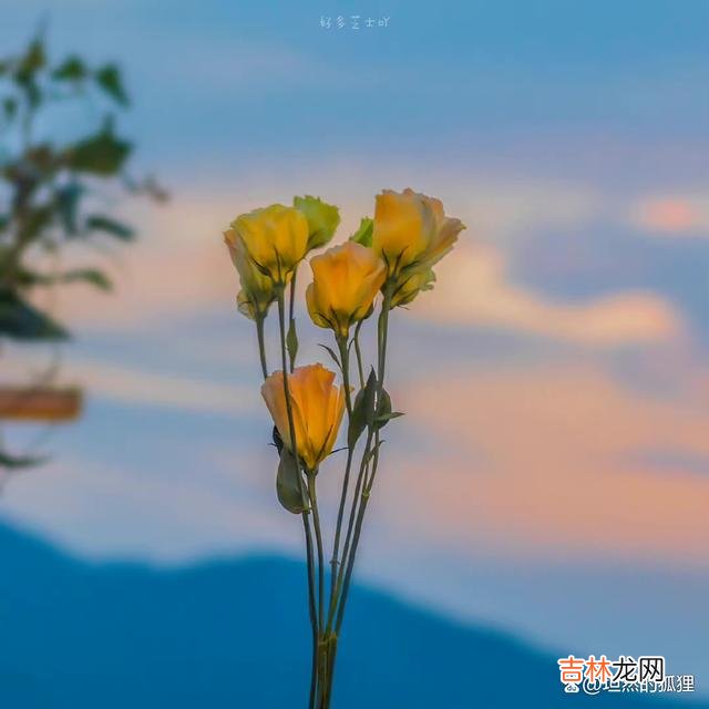 01开篇语：世事风云变幻 这四个征兆，若你有一条，那说明，你正在时来运转