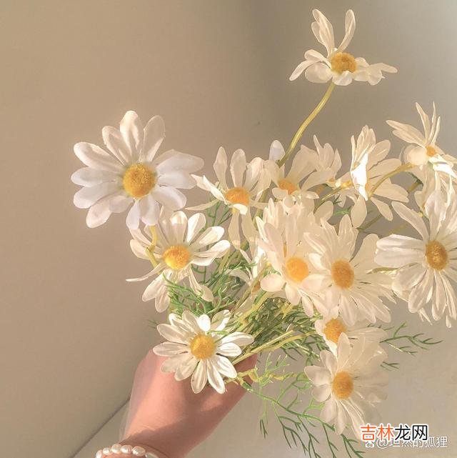 -01-李清照曾有一...|男人们，当一个女人总是问你这些话的时候，说明她在想你了