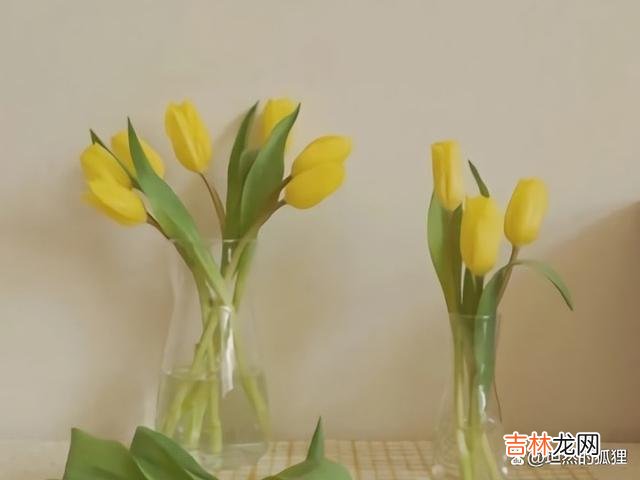 01-人生无常 男人的爱，往往不用你猜，你只要看表面就能一眼望到头