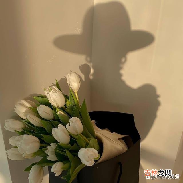 若女人对你动了心,用了情,她就会变得柔软,变得深情