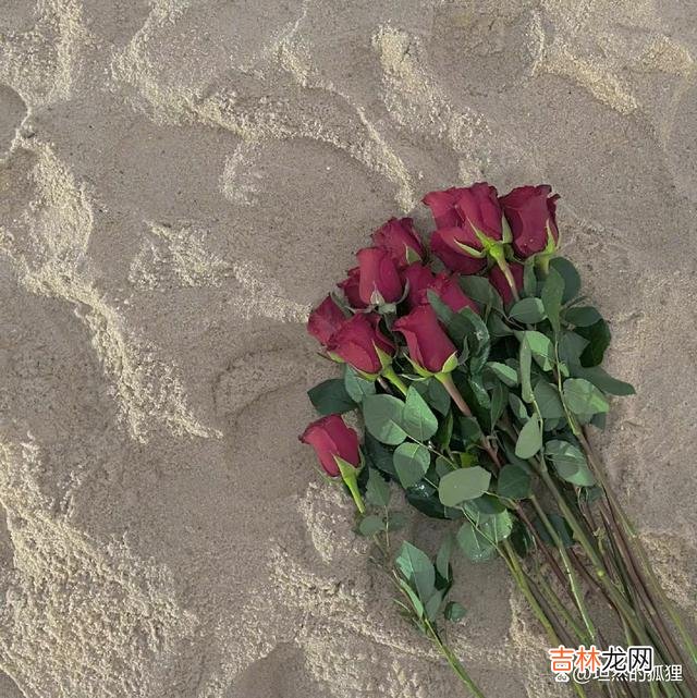 若女人对你动了心,用了情,她就会变得柔软,变得深情