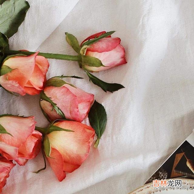 举两个例子。|一个把爱你当作自己本能反应的人,一定是老天给你的“三生有幸”