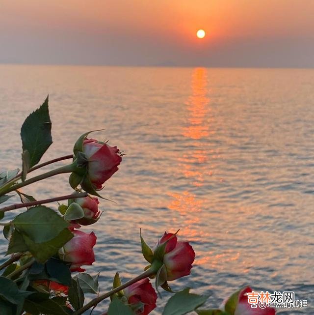 举两个例子。|一个把爱你当作自己本能反应的人,一定是老天给你的“三生有幸”