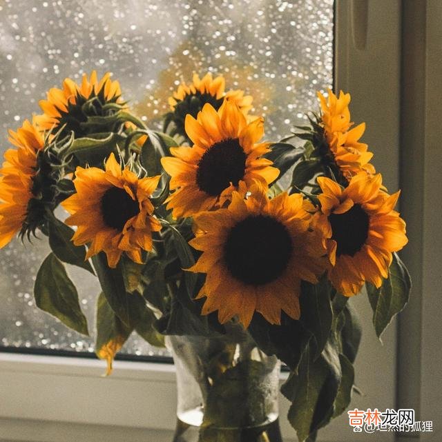 一个如此对他的女人，会让他一生牵挂，永远都“有感觉”