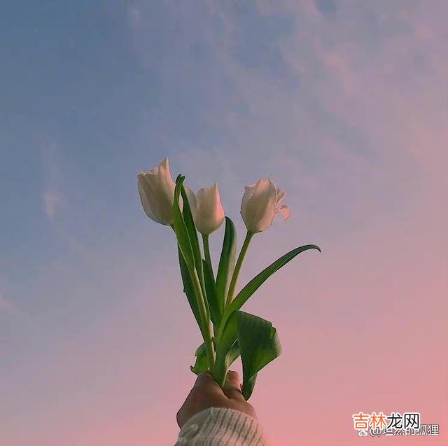 或许 养好自己的“脸”，就是在给自己积攒着上等风水