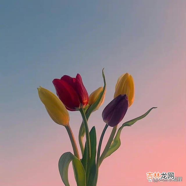 或许 养好自己的“脸”,就是在给自己积攒着上等风水