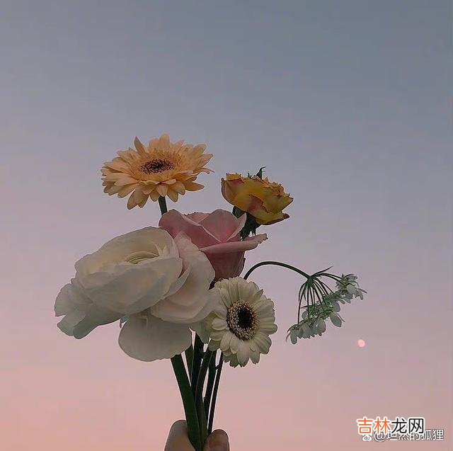 或许 养好自己的“脸”,就是在给自己积攒着上等风水