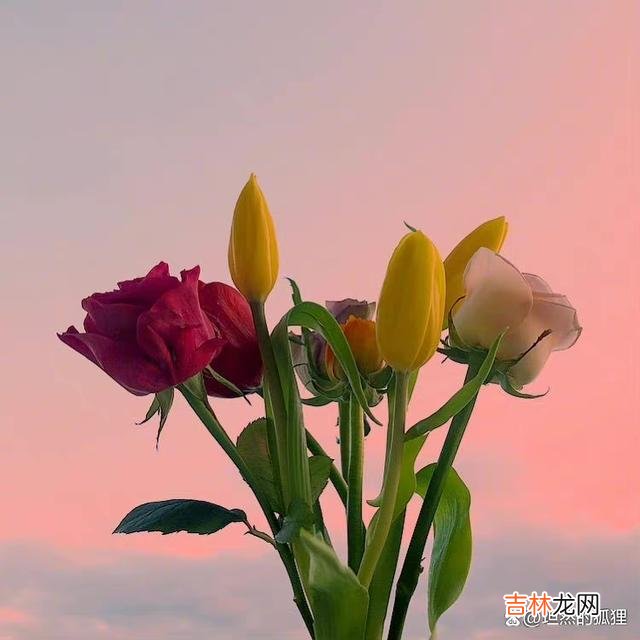 或许 养好自己的“脸”，就是在给自己积攒着上等风水