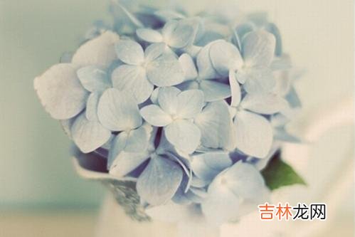 人际交往是一门学问 在跟亲家相处时，一定要多留以下几个心眼，这是为你好