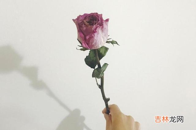 每个人对爱情都过期望和憧憬 如果你和前任断的越干净，就是对下一次的爱情越负责