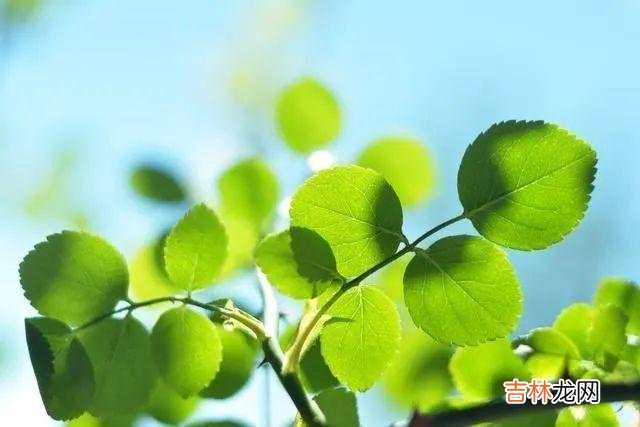 通常我们形容一个嘴巴很毒却没什么坏心眼的人 一个人经常把这三种话挂在嘴边，无论谁都别交往了