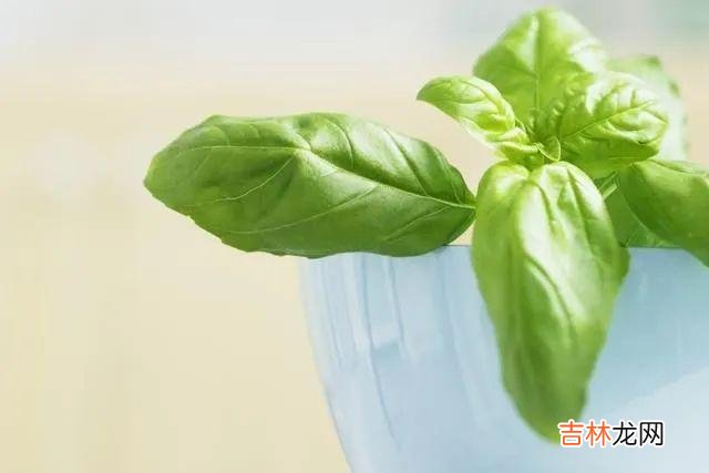 通常我们形容一个嘴巴很毒却没什么坏心眼的人 一个人经常把这三种话挂在嘴边，无论谁都别交往了