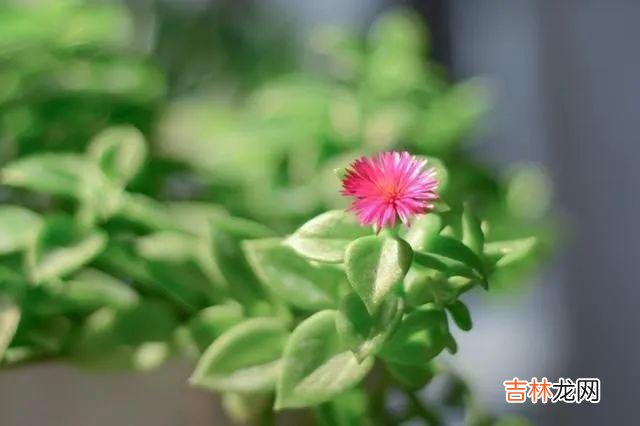 通常我们形容一个嘴巴很毒却没什么坏心眼的人 一个人经常把这三种话挂在嘴边，无论谁都别交往了