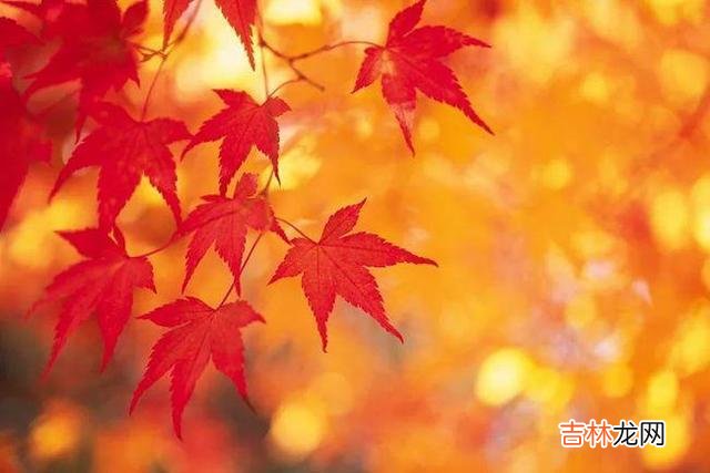俗话说 没有朋友的人只需要明白一个道理，人生也就赢了