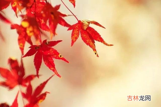 俗话说 没有朋友的人只需要明白一个道理，人生也就赢了