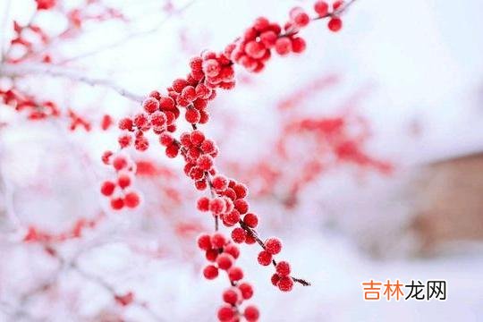 心理学上认为 一个人真有钱还是假有钱，很容易就能看出来